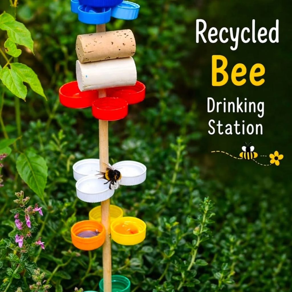 bee drinking station from plastic bottle caps
