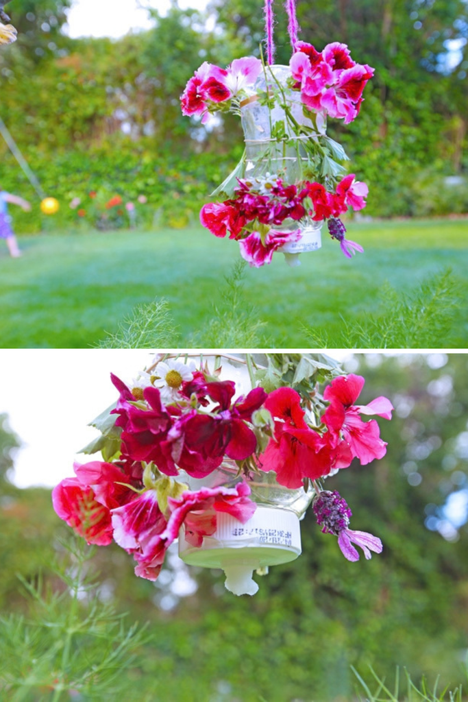 butterfly feeder