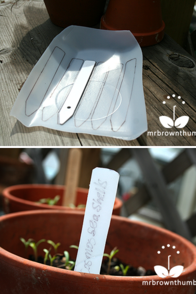 plant labels using plastic bottle