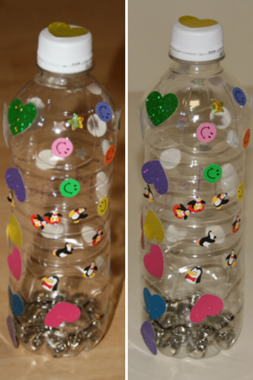 Water Bottle Rattle Craft
