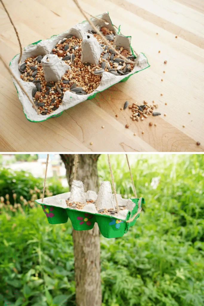 bird feeder