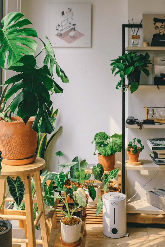 Incorporate greenery