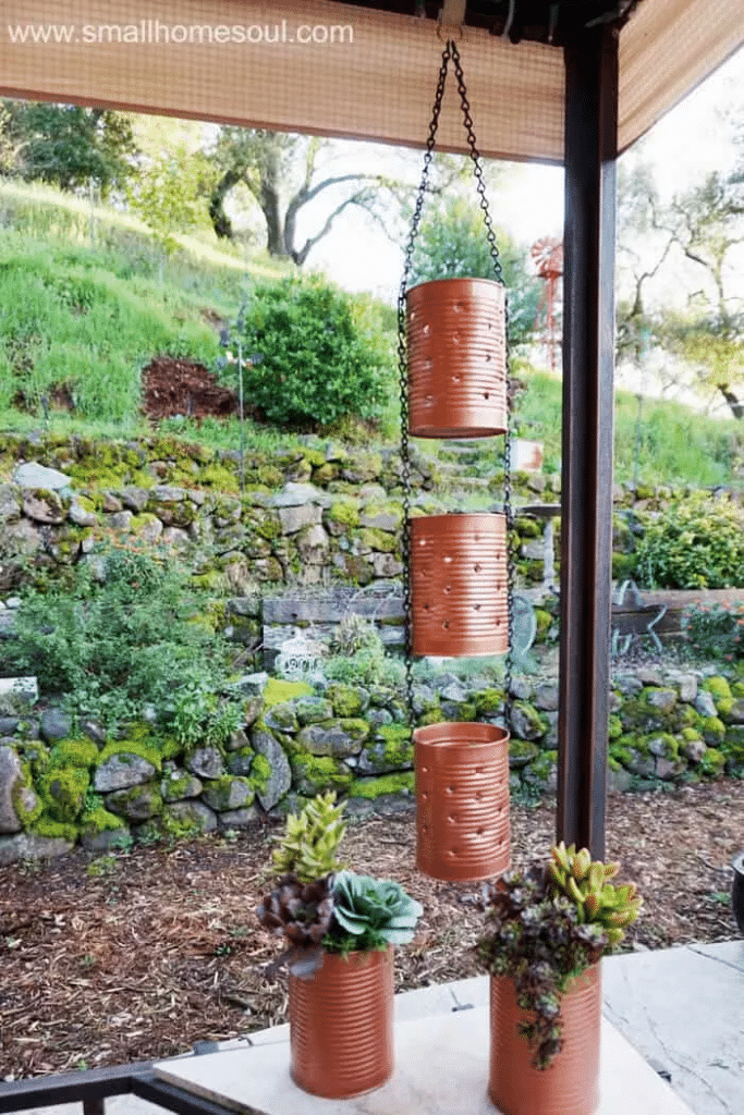 tin cans to succulents planters