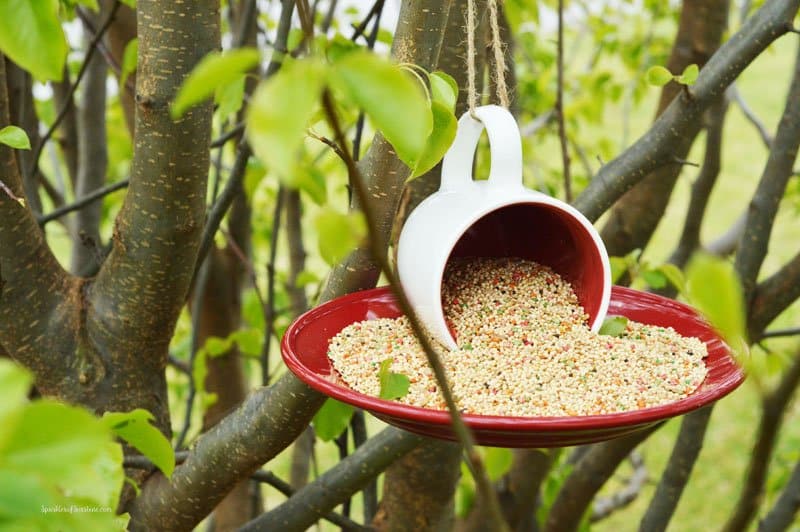 DIY bird feeders - using a coffee mug