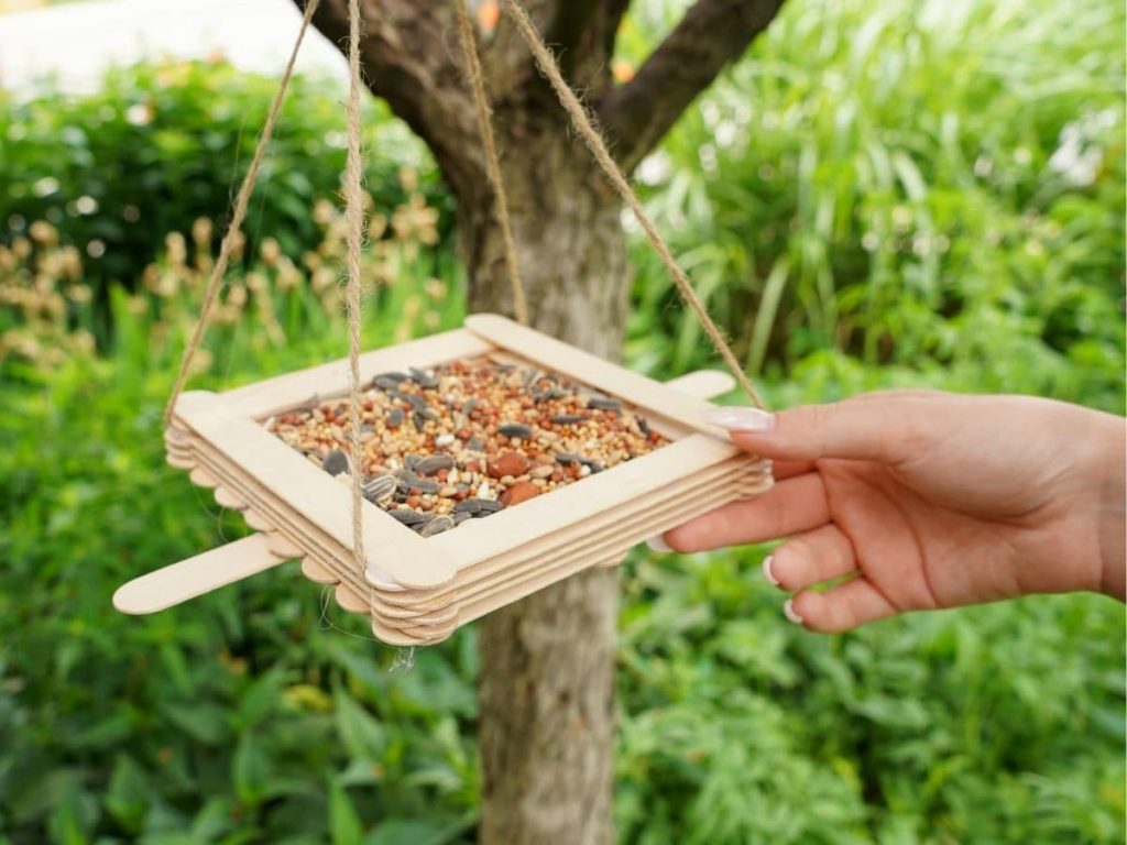 craft sticks bird feeder