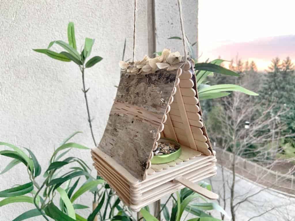craft sticks bird feeder