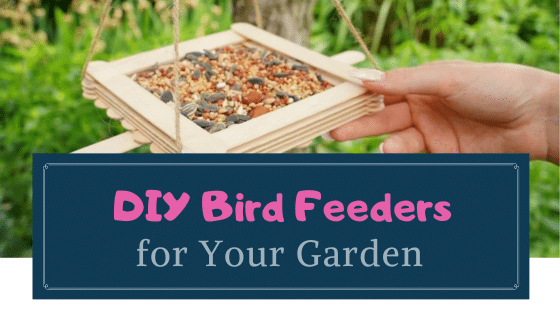 DIY Bird Feeders You Can Easily Create for Your Garden