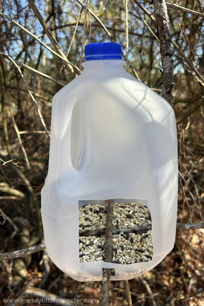 milk jug bird feeder