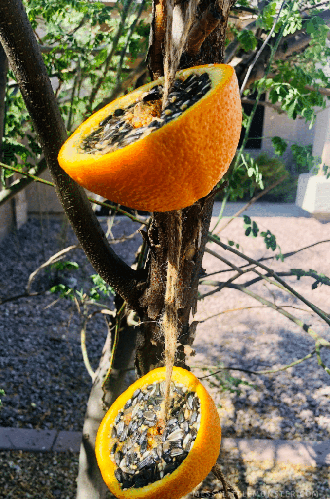 orange bird feeder