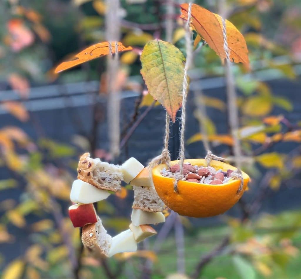 orange bird feeder