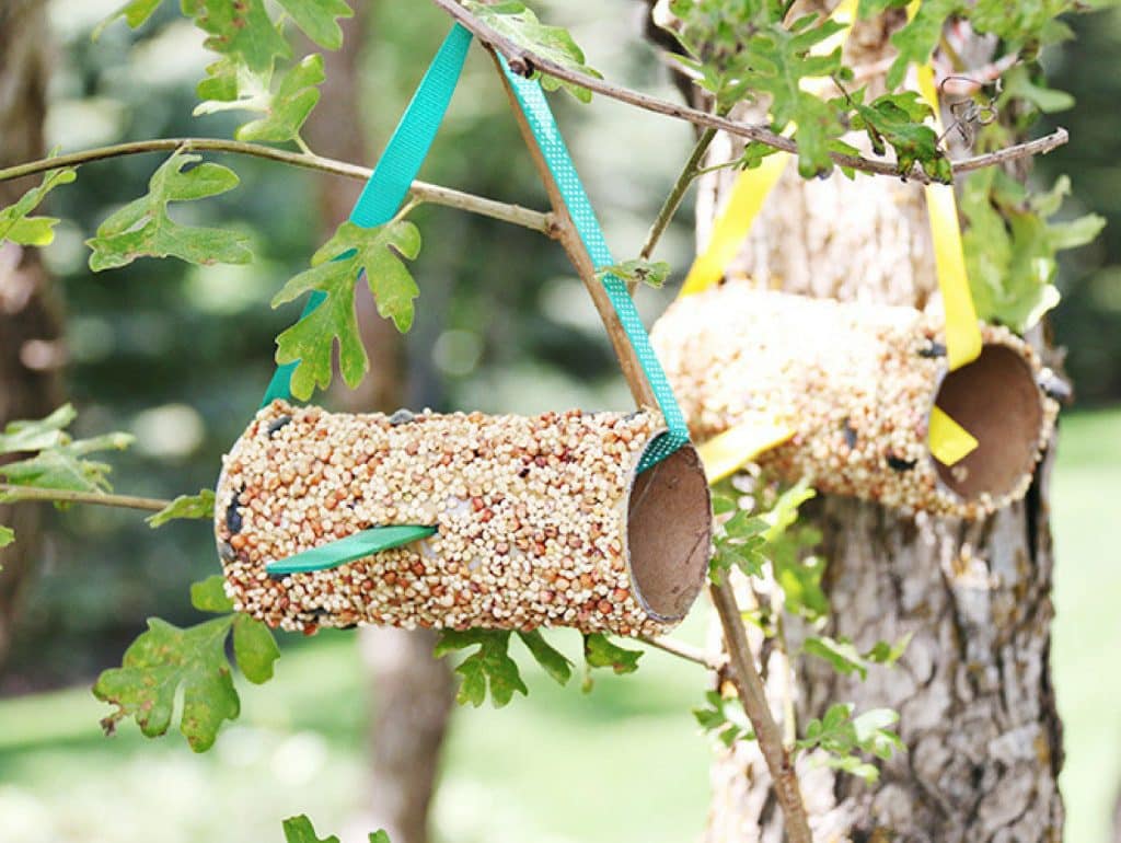 DIY bird feeders - from empty paper towel roll