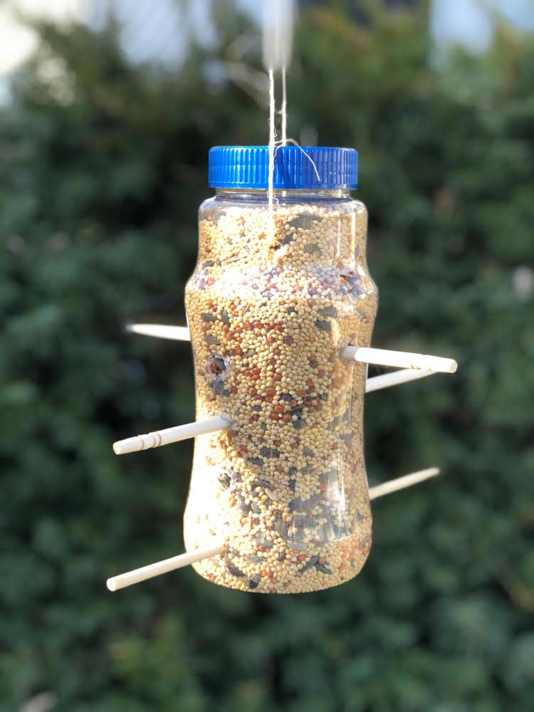 plastic bottle bird feeder