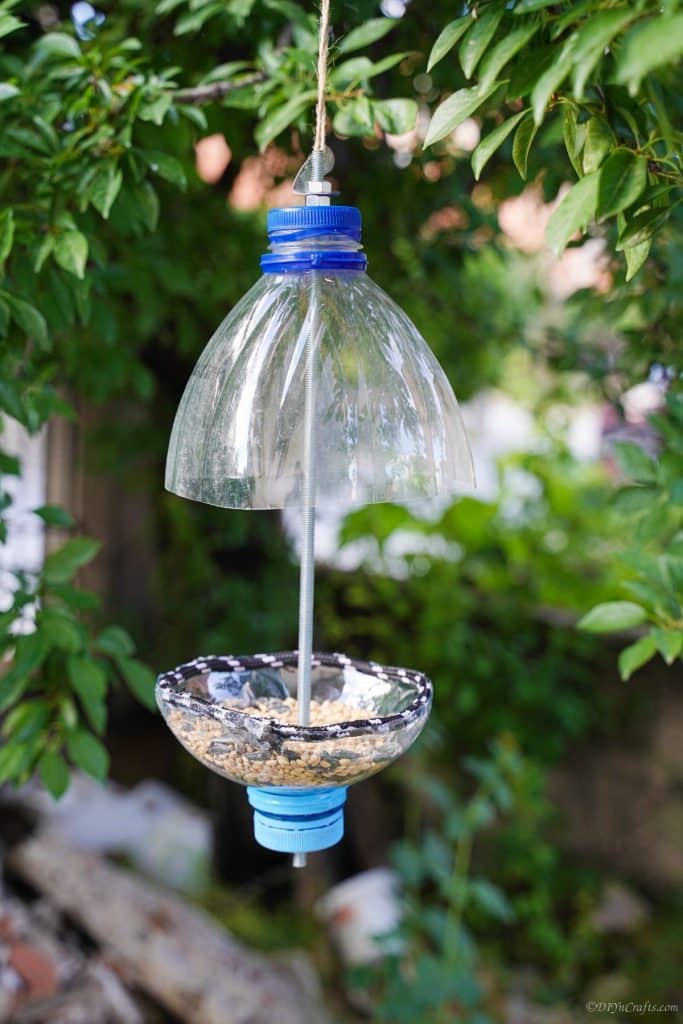 plastic bottle bird feeder
