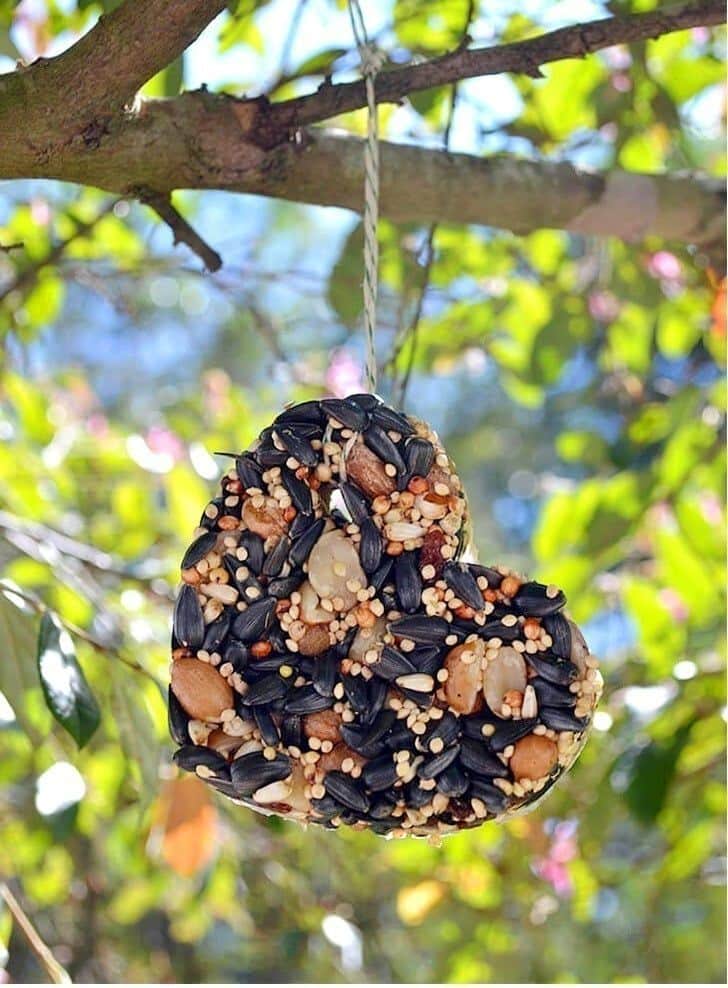 DIY bird feeders - cookie cutter shaped bird feeder
