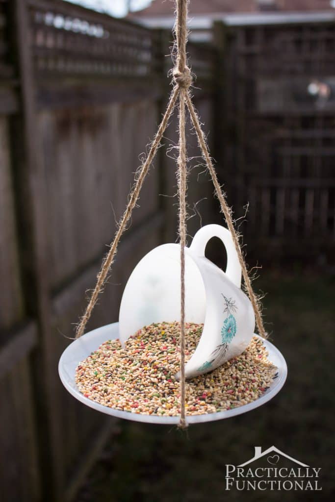 teacup bird feeder
