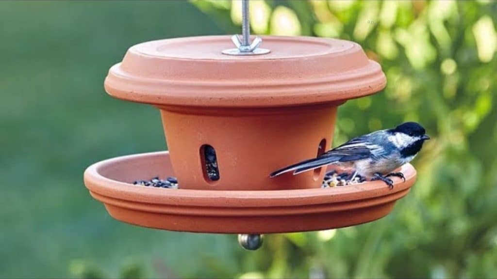 DIY bird feeders - using a terra cotta