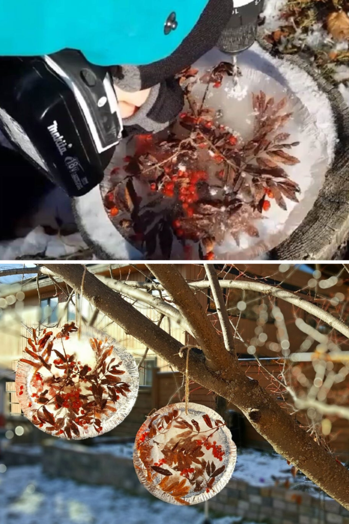 frozen ice suncatchers